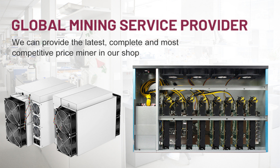 Mijnwerker van de Mijnbouwaisc van Letinebitmain Asic Antminer S19 de Pro110t 3250W Btc