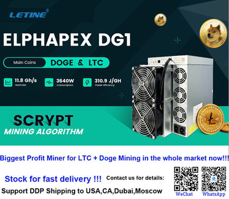 Nieuwe Asic Miner Elphapex DG1 11G DG1+ 14G 14.4G LTC Doge Coin Miner Antminer L7 L9 17.6G LTC Miner